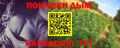 ПСИЛОЦИБИНОВЫЕ ГРИБЫ Кулебаки