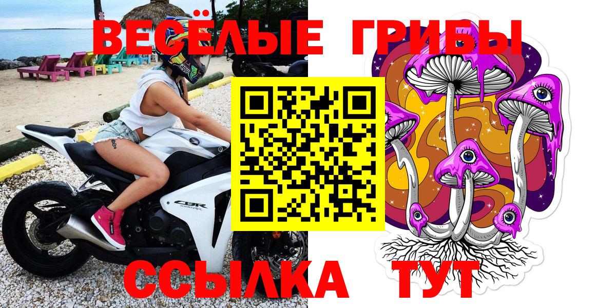 Псилоцибиновые грибы Cubensis Городец