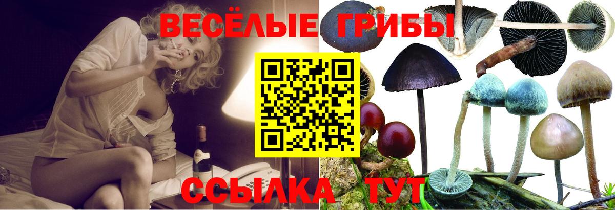 Городец  Галлюциногенные грибы прущие грибы  Вход с VPN 